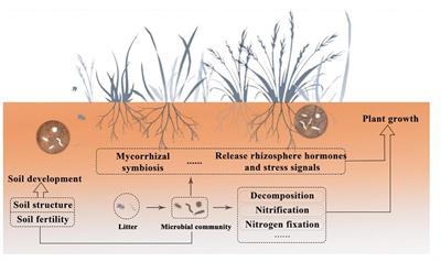 Important soil microbiota's effects on plants and soils: a comprehensive 30-year systematic literature review